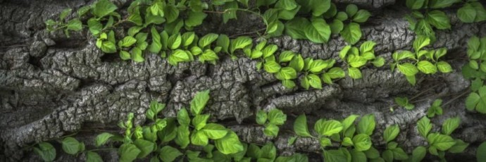 image-from-rawpixel-id-5944351-jpeg-e1660310088164