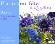 PLANTES EN FETES KERPLOUZ