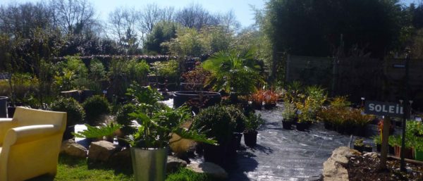 jardin Morbihan