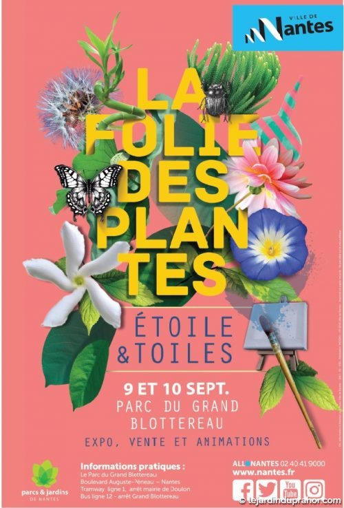 folie des plantes 2017