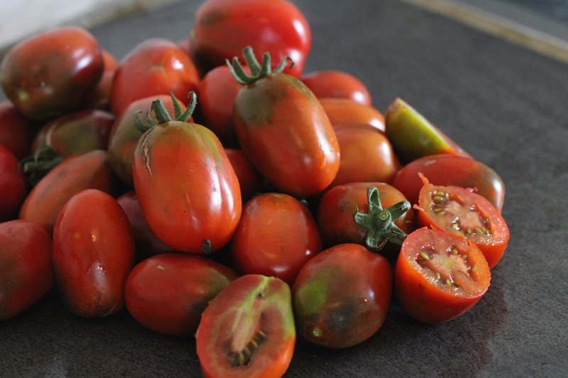 Tomate cerise rouge