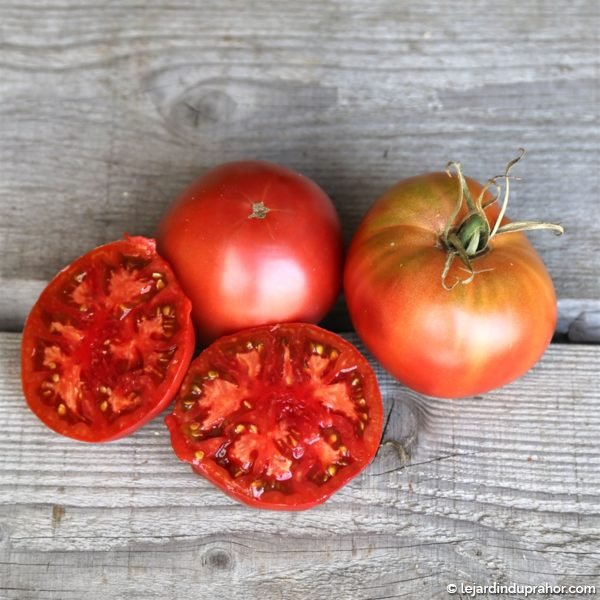 tomate-noire-de-crimee